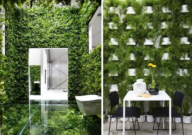 綠植長在墻上，個性又省地方！